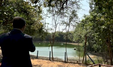 João Pinheiro se indigna com estado do Bosque Municipal e promete transformação radical em seu plano de governo