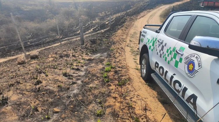 Polícia Militar Ambiental multa CPFL em R$ 12 milhões por incêndio em cidades da região 