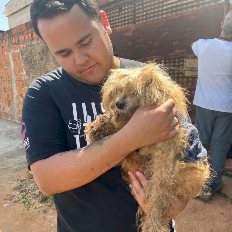 Ativista da causa animal Gabriel Fernando deixa a ONG Spaddes