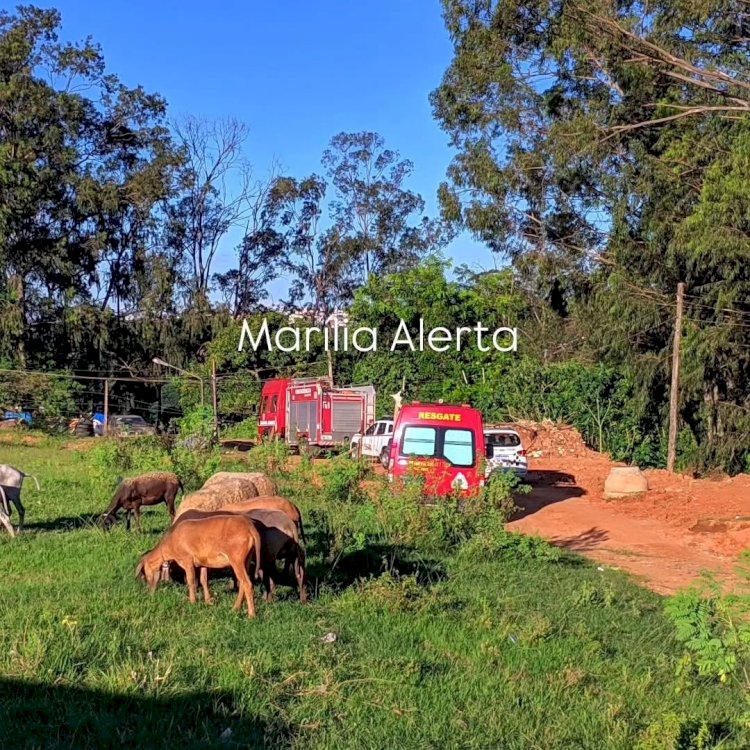Homem é encontrado morto em buracão na zona norte de Marília