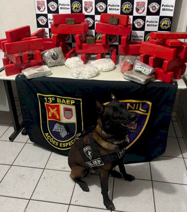 Polícia Militar apreende grande quantidade de drogas na zona norte de Marília